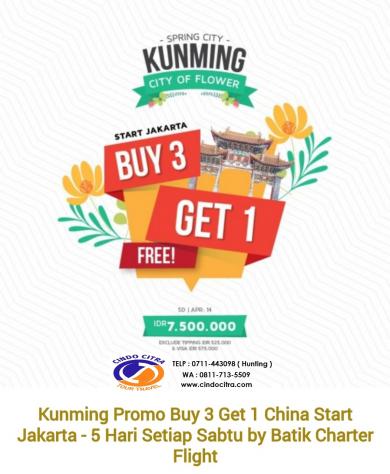 KUNMING THE CITY OFF FLOWER BUY 3 GET 1 FREE !!